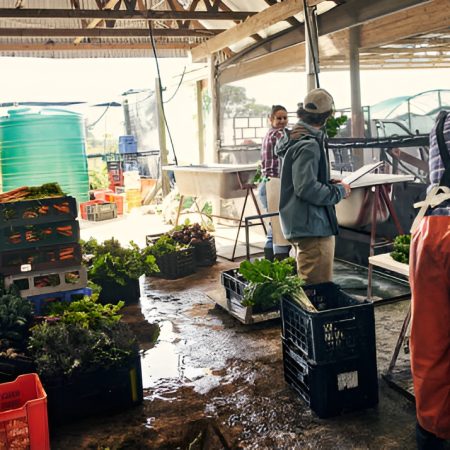 istockphoto 1129835423 612x612 picsart aiimageenhancer